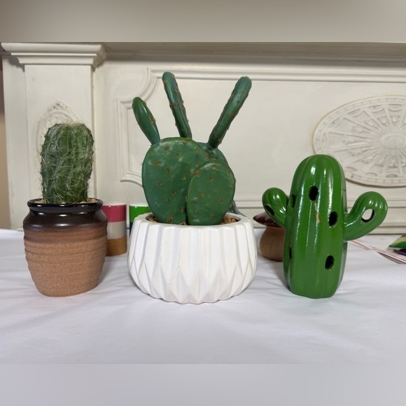 Faux cactus cacti set Decor - Picture 14 of 14